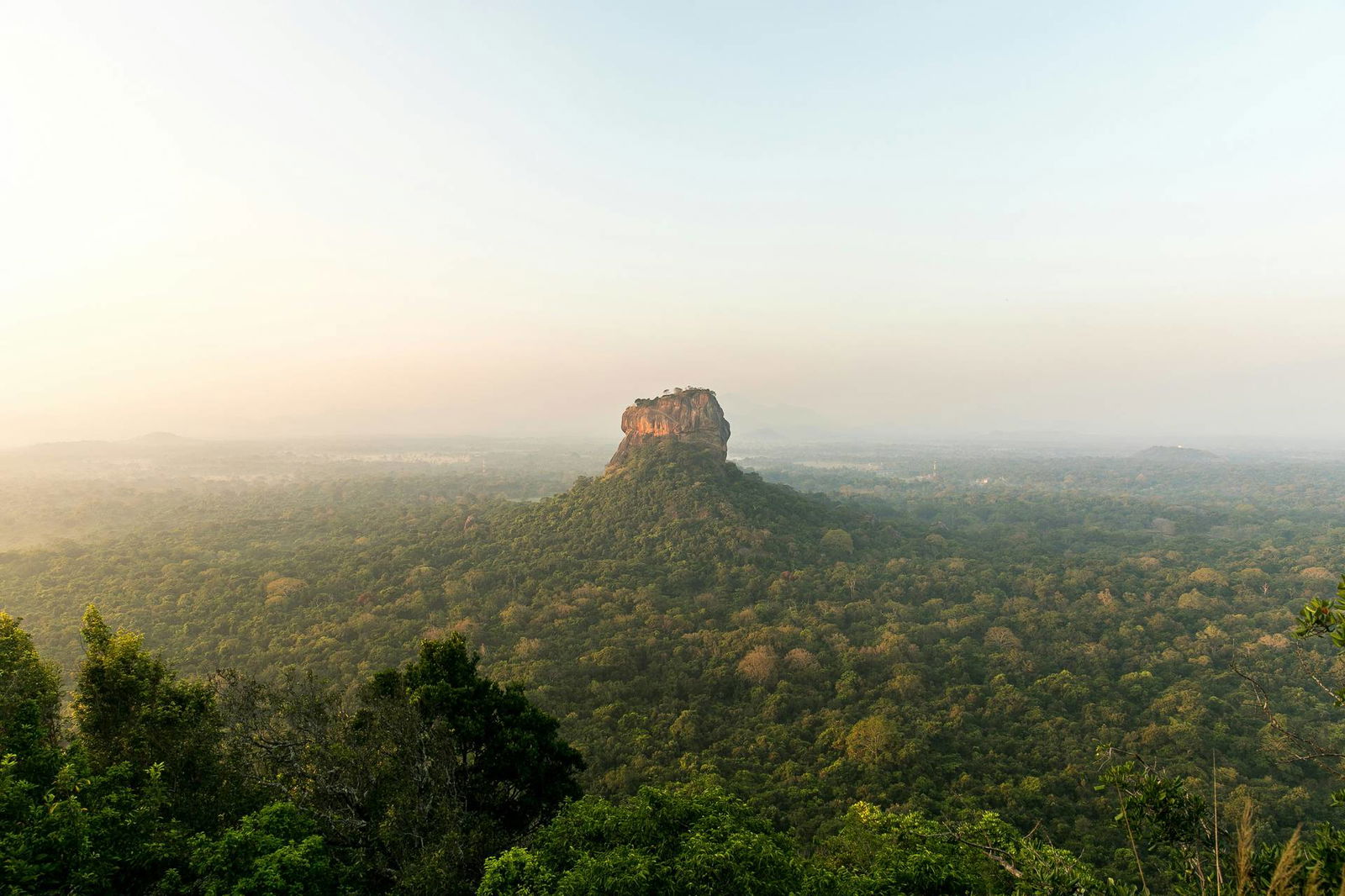 Circuit L'odyssée sri lankaise : l'île aux mille visages ****