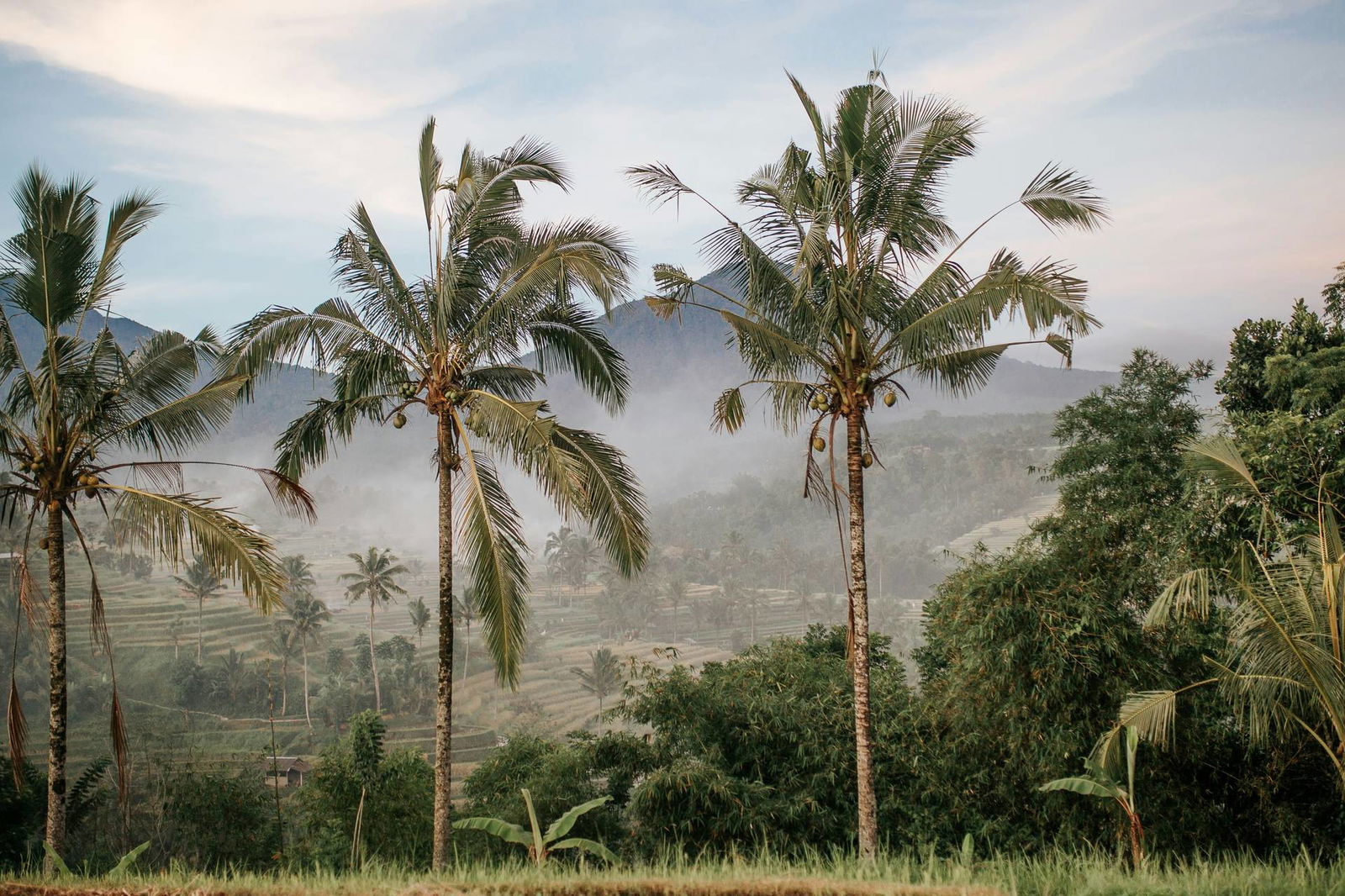 Circuit Sur la route des îles : Ubud, Candidasa et Lombok ****