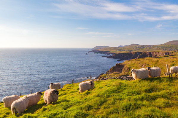 Circuit Rêve émeraude, l'Irlande du Nord ***