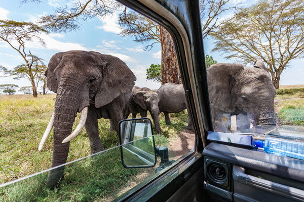 Circuit Safari entre grands parcs et lacs du nord de la Tanzanie