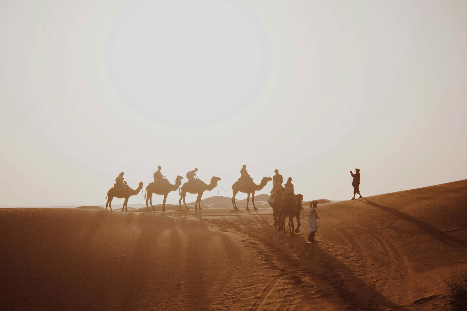 Circuit Au fil des oasis et des dunes : voyage au Maroc ancestral