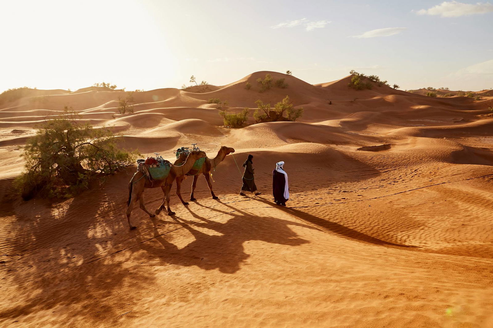 Circuit Le souffle des dunes : voyage à pied au coeur du grand sud