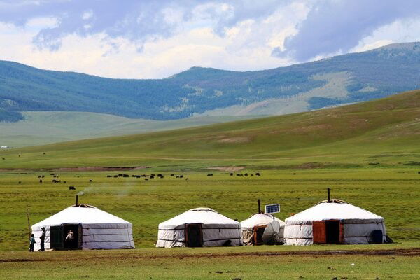 Circuit Richesses au coeur des Steppes de Mongolie ***