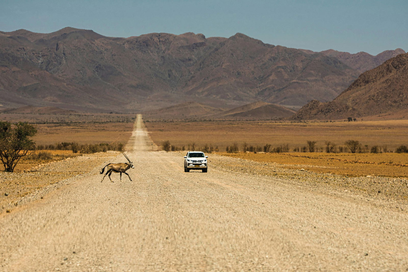 Autotour Sur les routes de Namibie ****